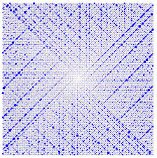 Number Theory